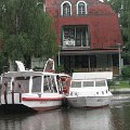 Szarvas 035